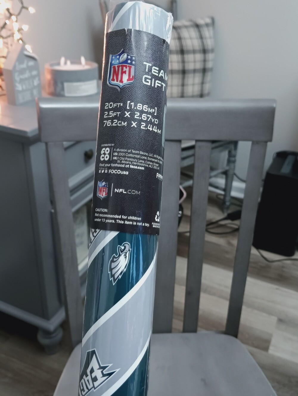 NFL Philadelphia Eagles Teal, Silver and White Decorative Team Roll